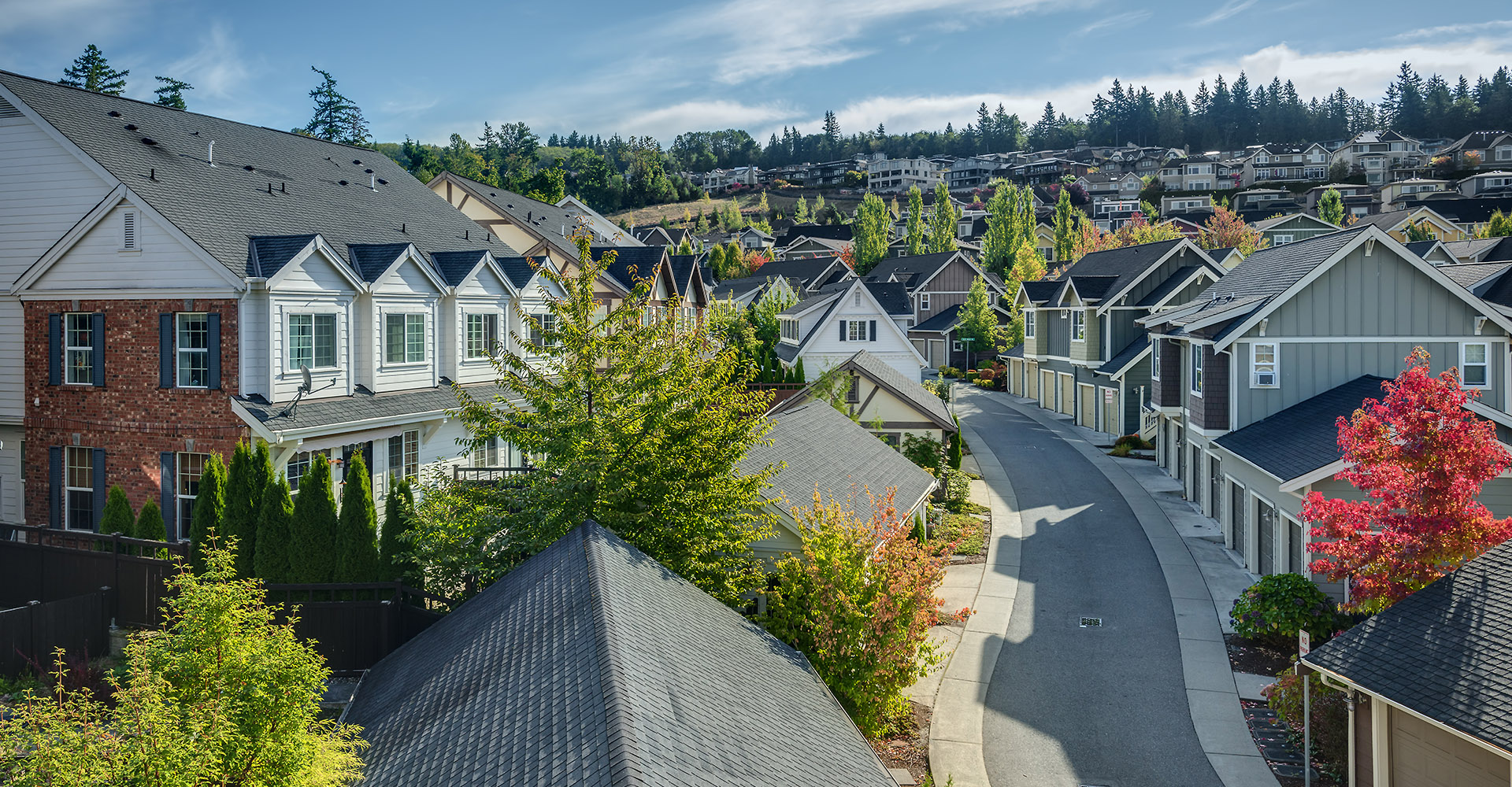 Residential street, community, colorful trees, new homes